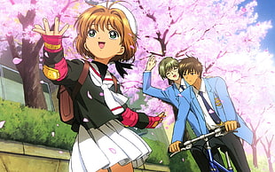 Card Capture Sakura anime HD wallpaper