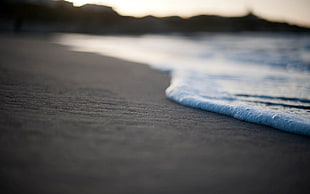 seashore closeup photography, beach, sea