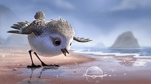 fledgling sandpiper cartoon illustration HD wallpaper