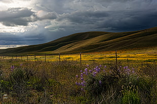 landscape photography of mountain