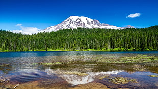 mountain and trees, nature, water, mountains, forest