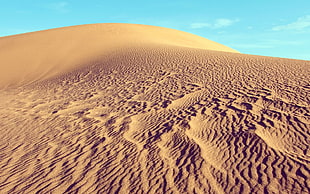 red and black floral area rug, desert, landscape, sand, dune