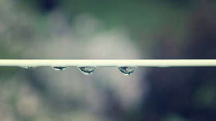 three water drop on white coat cable HD wallpaper