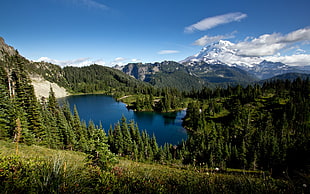 green leafed trees, landscape, nature, mountains, lake