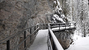 grey bridge, Canada, winter, nature, landscape HD wallpaper