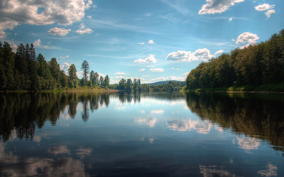 calm body of water between trees under bluesky HD wallpaper