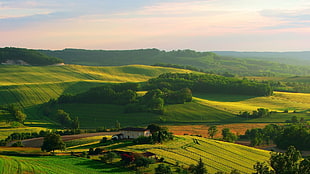 green grass field, landscape, hills, sunlight, house