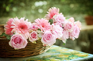 shallow focus photography of pink flowers in basket HD wallpaper