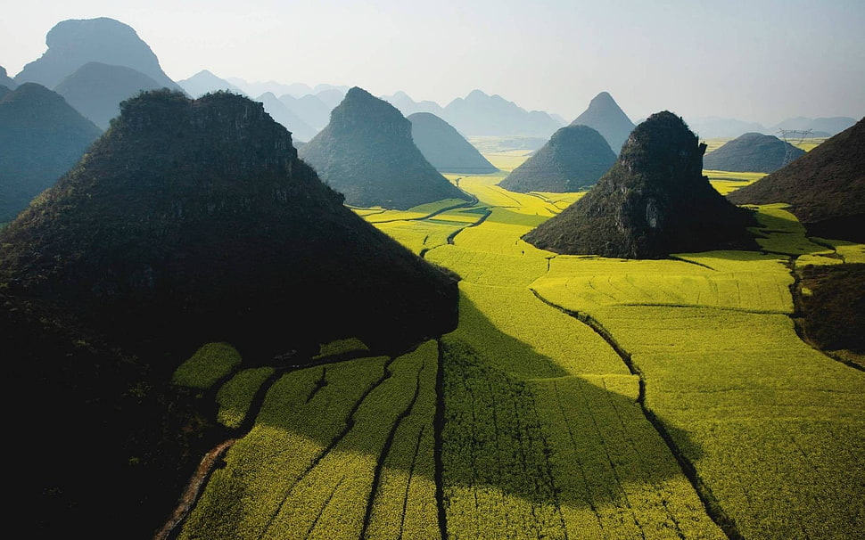 aerial view photo of mountains in grass field, photography, nature, landscape, rice paddy HD wallpaper