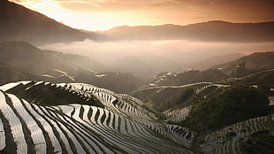 rice terraces during sunrise HD wallpaper