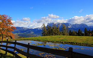 green trees across valley under blue skies