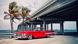 red coupe, car, red cars, palm trees, bridge HD wallpaper