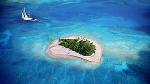 white sailboat, beach, island, nature, landscape