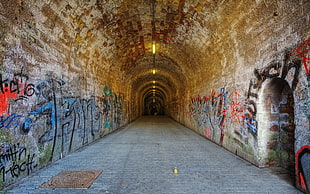 brown and white concrete tunnel with graffitis, architecture, tunnel, Germany, arch HD wallpaper