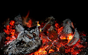 fire wood