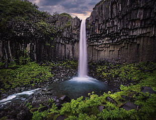 waterfalls, waterfall, Iceland, column, shrubs HD wallpaper