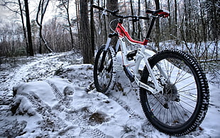 red and white hardtail bike HD wallpaper