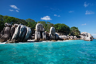 view of gray stones near body of the water surrounded by trees, la digue, seychelles HD wallpaper