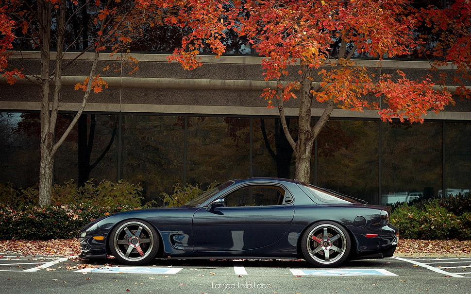black coupe parked beside tree during daytime HD wallpaper