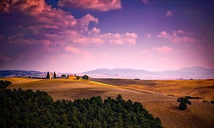 beige field with house under purple sky