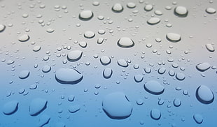 water droplet photo HD wallpaper