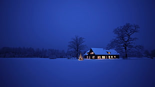 photo of cabin in the middle of snow covered field during nighttime HD wallpaper