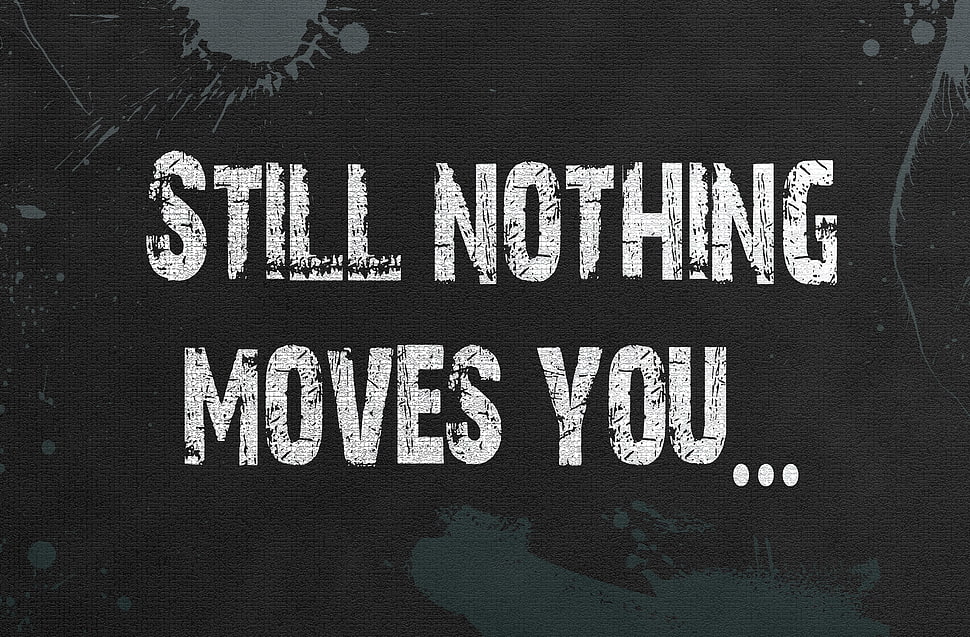 still nothing moves you text overlay, typography, paint splatter HD wallpaper