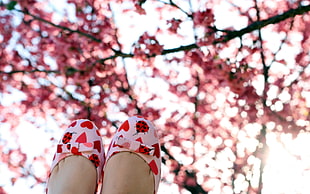 selective focus photography of pink-and-red heart print bow-accent shoes HD wallpaper