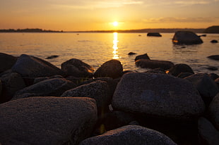 gray rocks, nature, sunlight, stones