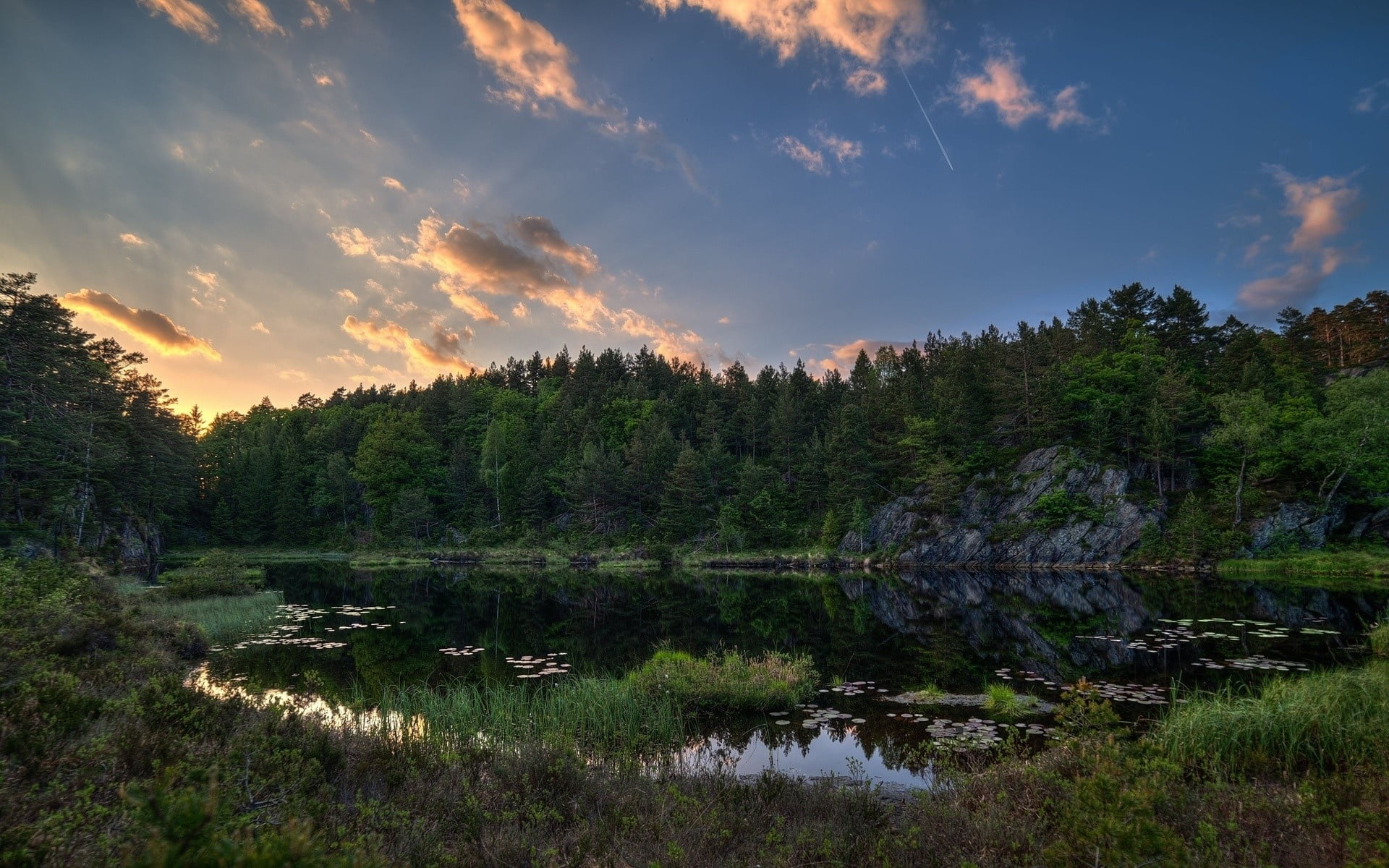 landscape photography of river surrounded by trees under cloudy sky during daytime