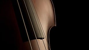brown violin, cello, musical instrument