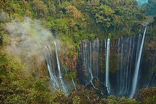 waterfalls, nature, landscape, waterfall, jungle