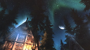 house surrounded with trees painting, The Elder Scrolls V: Skyrim, ENB, video games, aurorae HD wallpaper
