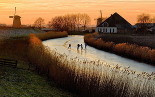 body of water and grasses, Netherlands, landscape, ice skate HD wallpaper