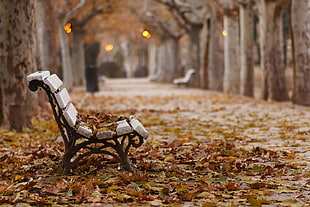 black metal base white wooden garden bench, fall, park, bench, leaves HD wallpaper