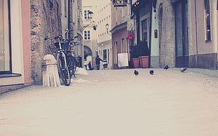 road with bicycles at side and birds