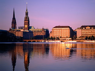 brown concrete tower building, Hamburg, Germany, reflection, swan