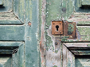 green wooden door with brown key hole HD wallpaper