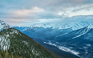 glacier mountain and green trees, snow, winter, mountains