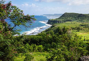 green terrain near sea