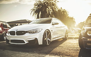 white BMW car