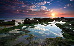 green grass with calm body of water under blue and cloudy sky during golden hour