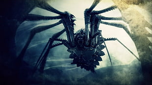 black spider digital wallpaper, video games, creature, Demon's Souls HD wallpaper