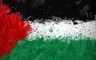 Palestine flag HD wallpaper