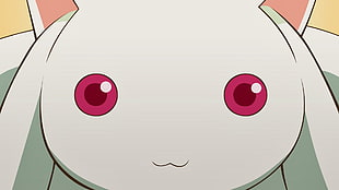white animal character HD wallpaper, anime, Kyuubey, Mahou Shoujo Madoka Magica HD wallpaper