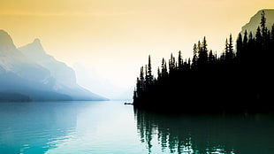 green leaf trees, lake, landscape, mist, mountains