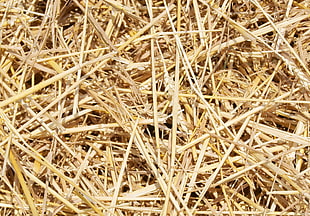 pile of hays \ HD wallpaper