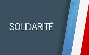 Solidarite text, abstract, minimalism, typo, anime