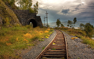 brown train rails, nature, grass, tunnel, railway HD wallpaper