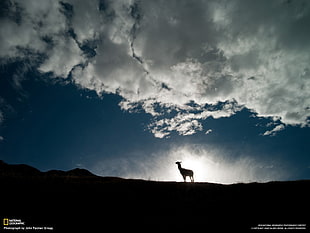 National Geographic, clouds, silhouette, sunlight